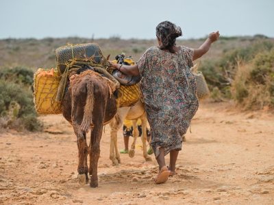 Tomada de: Agenda Propia