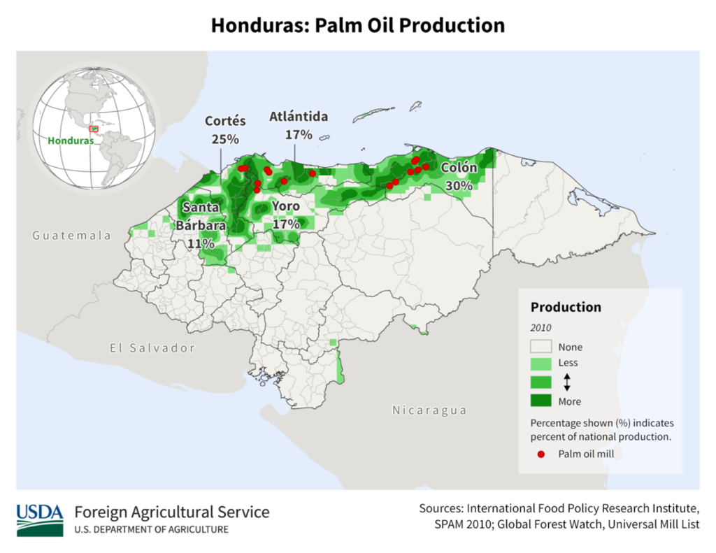 Tomado de Mongabay (https://es.mongabay.com/2024/08/palma-de-aceite-honduras-comunidades-con-tierras-inundadas-agua-aceitosa/)